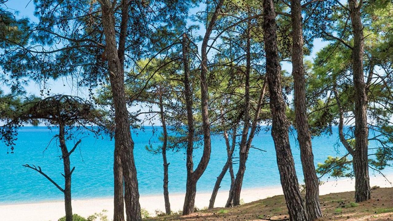 Ξενοδοχείο με διαμερίσματα Blue Jasmine Skala (Kefalonia)