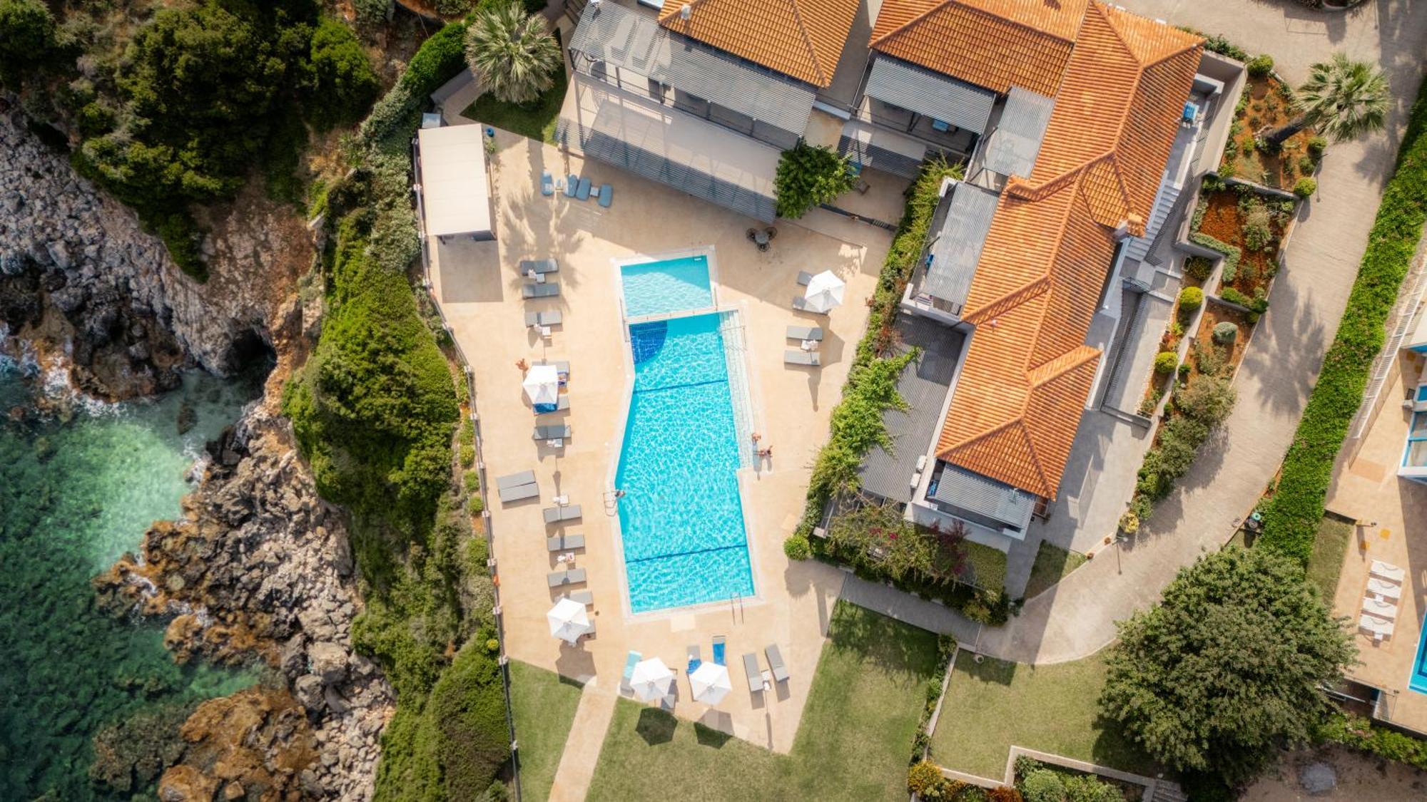 Blue Jasmine * Skala (Kefalonia)